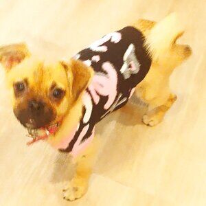 Chanel Dog Sweater, Black, Pink, White and Gray, Size XS